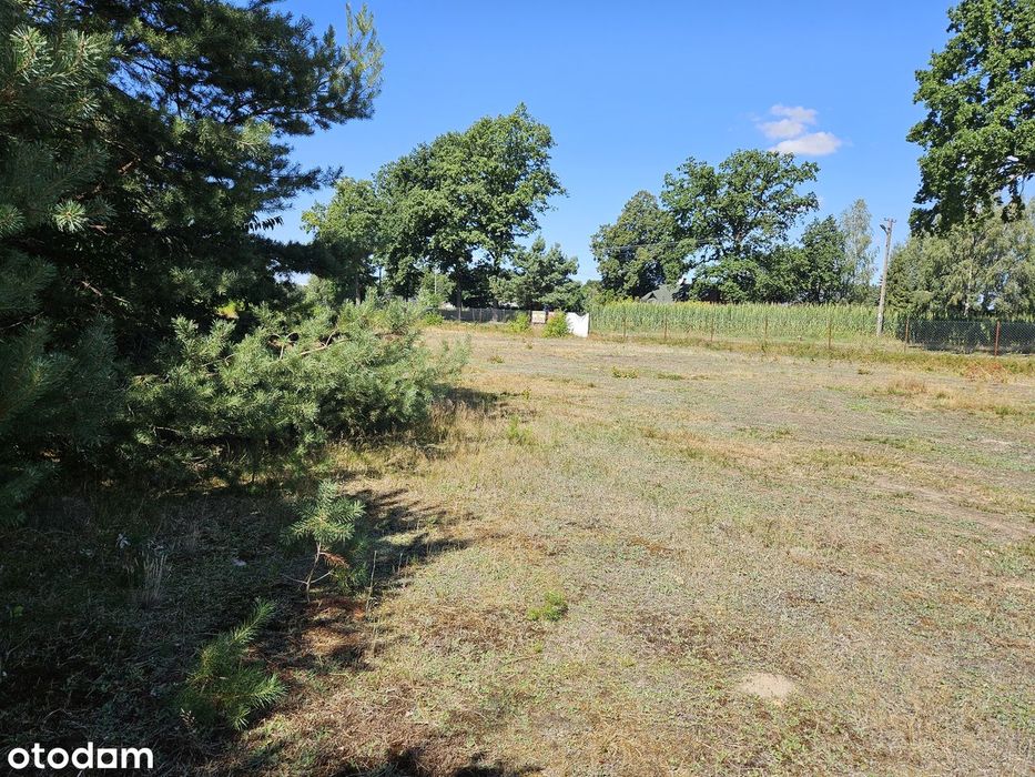 Działka budowlana 3003 m² – Brogi, gm. Dobroń