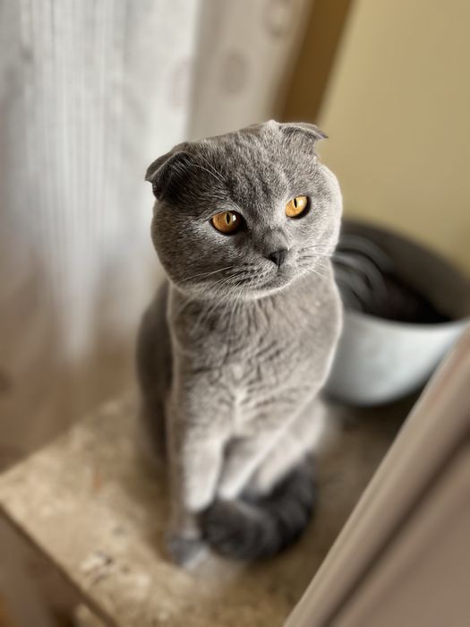 Запрошуємо на вʼязку