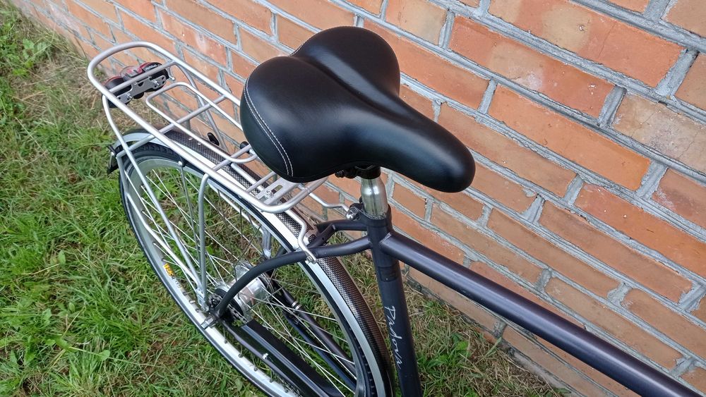 Rower męski holenderski Batavus Padova NEXUS 7