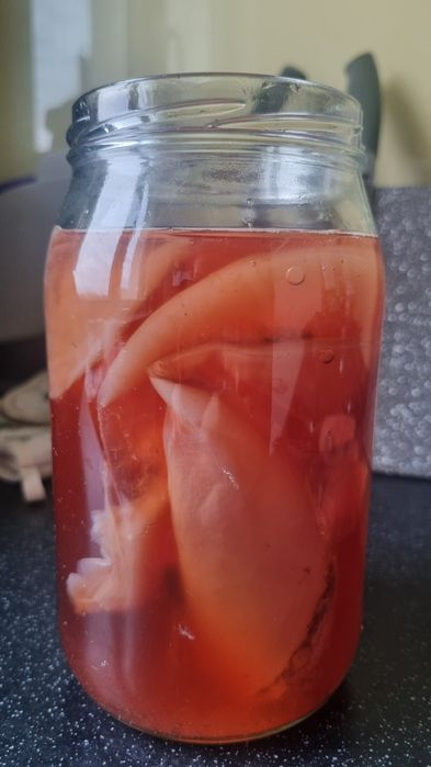 Zdrowie za grosze! Domowa Kombucha - Grzybek SCOBY (Starter)