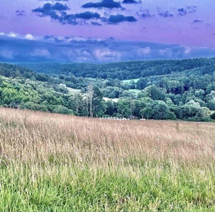 Ekstrakt propolisowy 20%                     2 x butelka 100ml