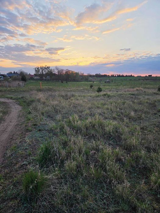 Działka 1693 m², Dębno, powiat myśliborski, ul. Chojeńska - Widok 2
