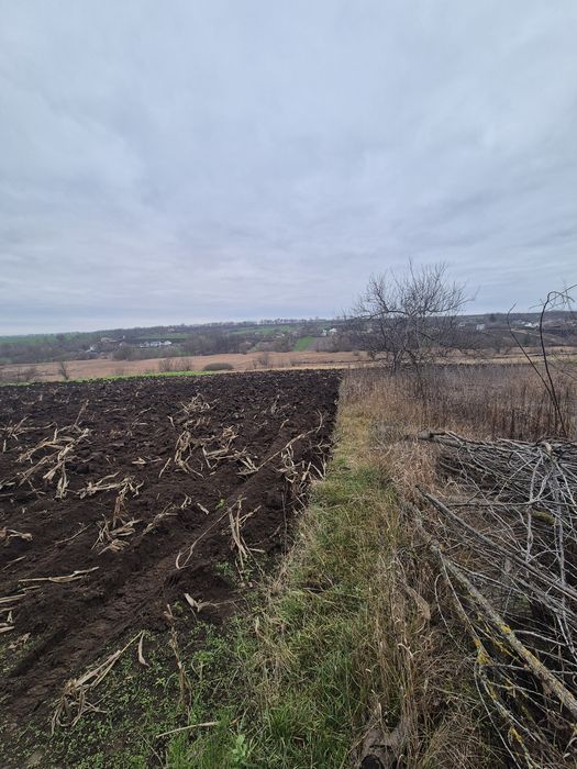 Продається господарство з невеликим будинком та землею 0.83 га. в селі