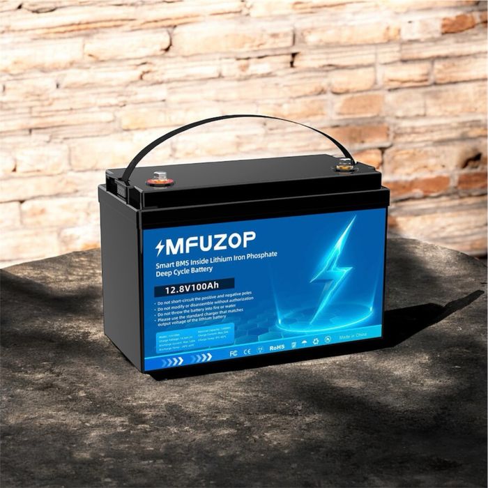 LiFePO4 12V 100Ah Акумулятор MFUZOP 1280Wh, 100A, BMS