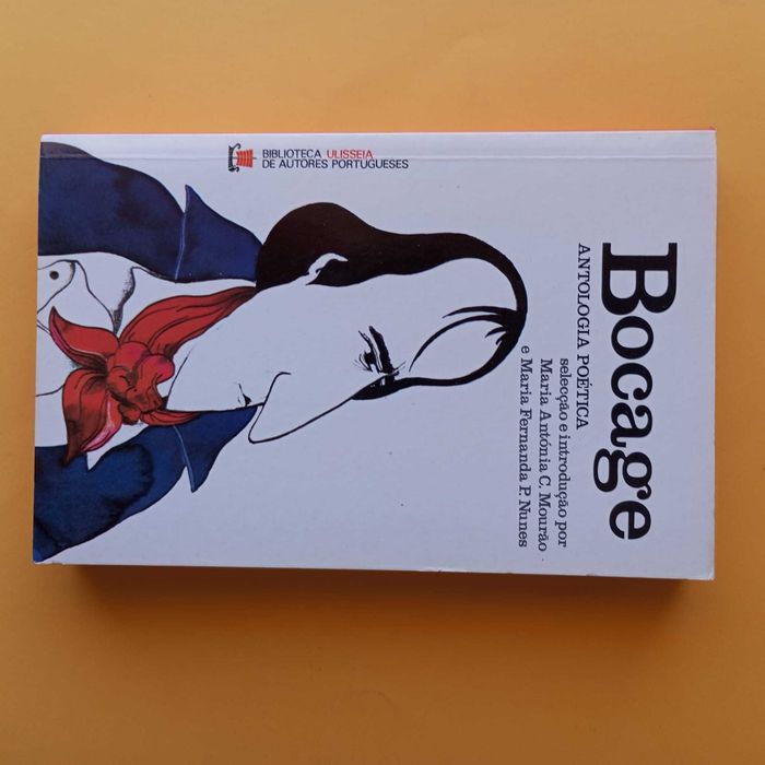 Coleção de Livros Mistos - Autores Variados - Conjunto 19