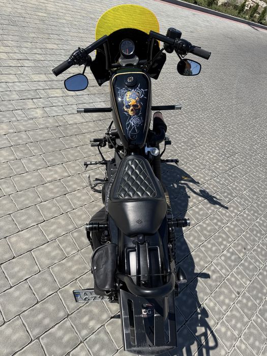 Harley-Davidson (Sportster) iron 883N/1200 Custom