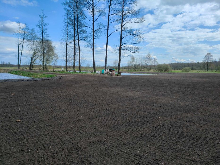 Glebogryzarka separacyjna Dojazd 100 km GRATIS!!!