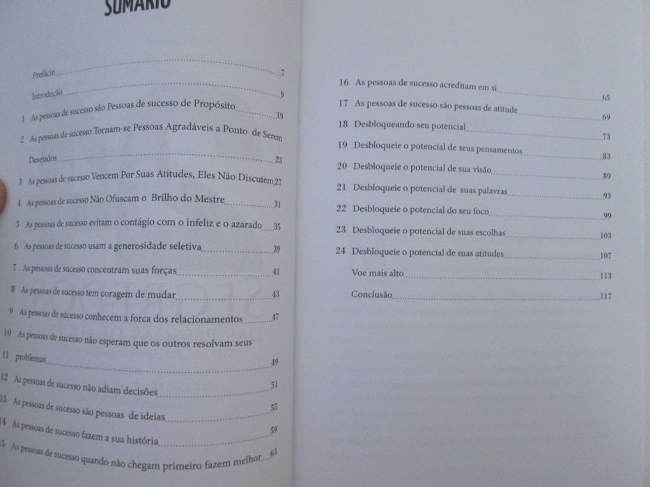 24 segredos das pessoas de sucesso- Júnior Santos