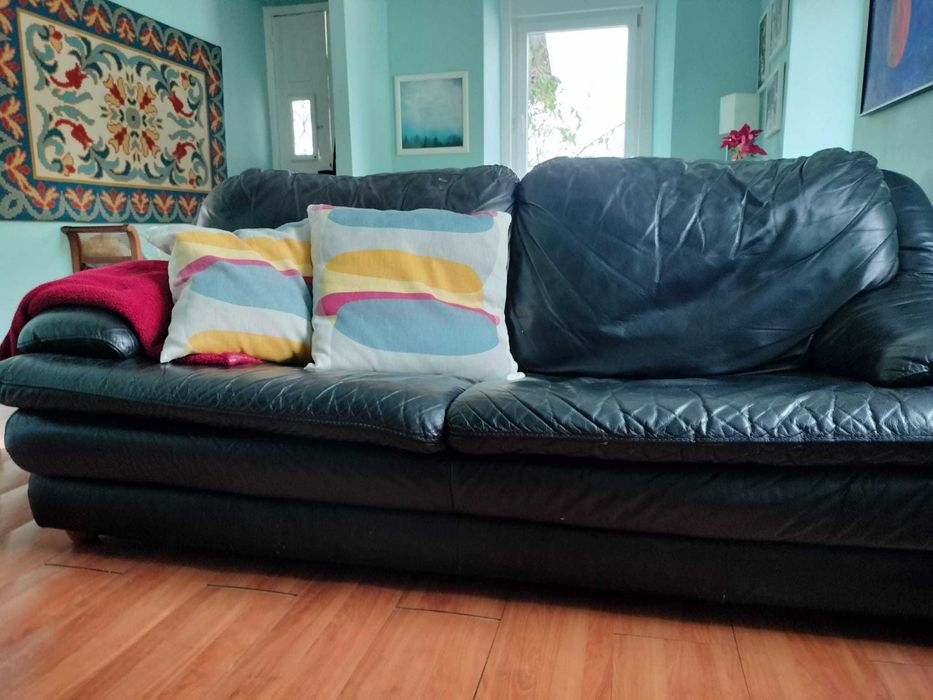 Sofá de Couro preto