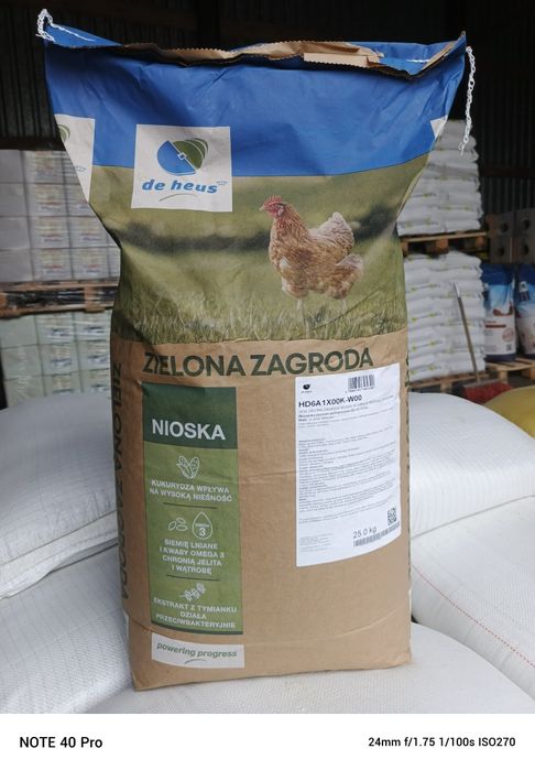 Pasza dla kur nioska