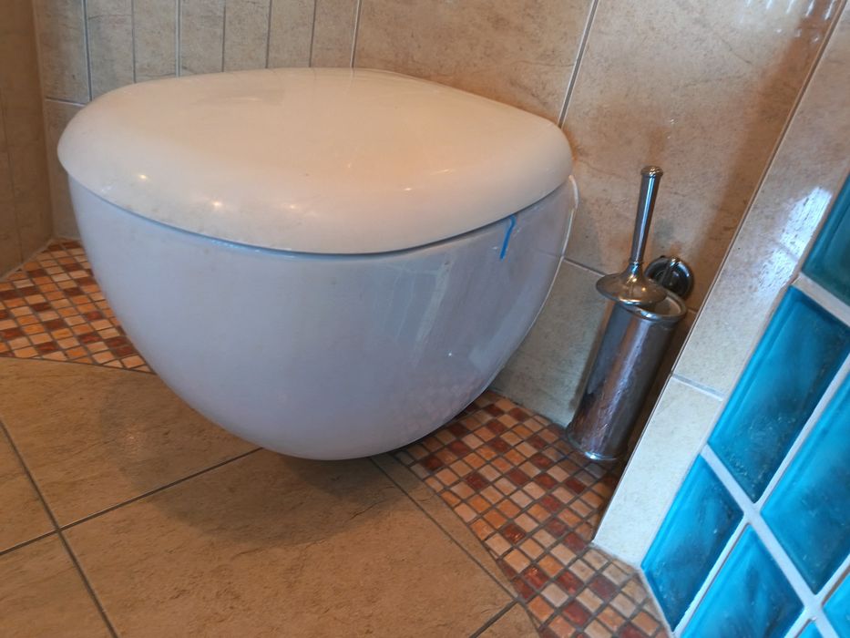 Sedes muszla podwieszana duża KOŁO