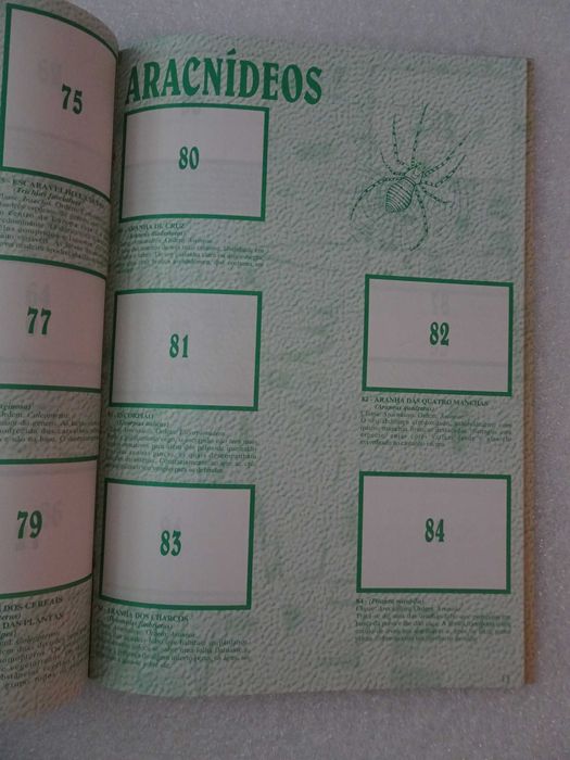 Caderneta de cromos vazia O Mundo Maravilhoso dos pequenos seres