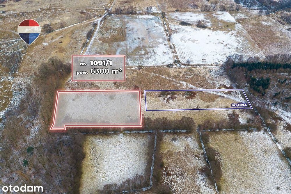 Działka rolna o pow. 6300 m² - Widok 4