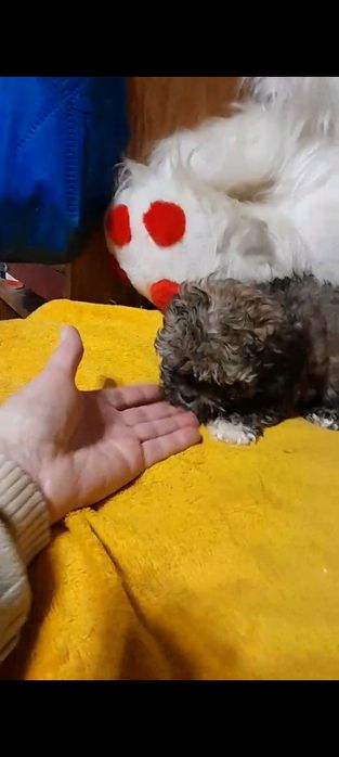 Маленькая девочка.