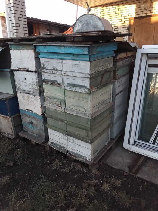 вулики корпусні  б у