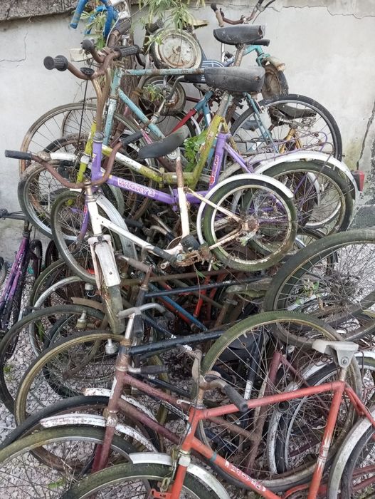Kolekcja Rowerów Ukraina Wigry Pelikan