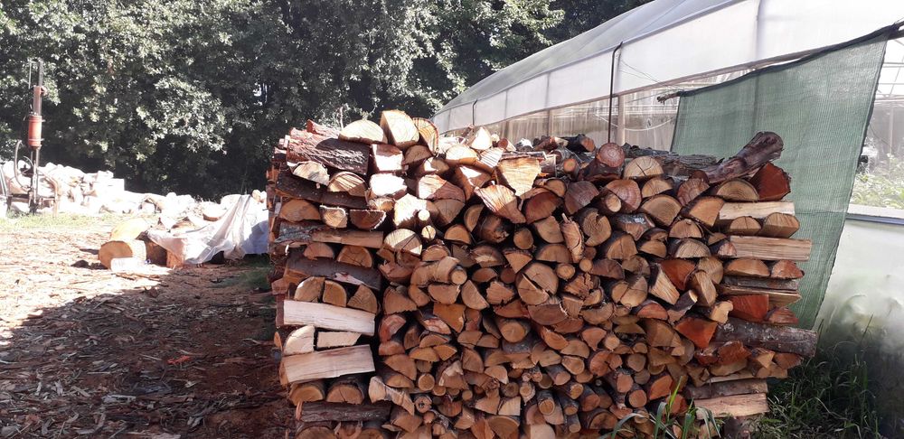 Venda de lenha seca à  carga e ao saco