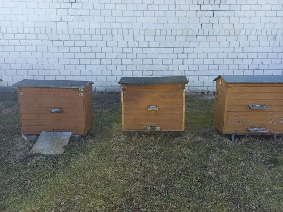 Sprzedam ule z wyposażeniem