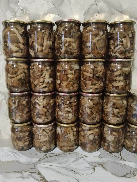 Мариновані гриби маслята,опеньки та білі
