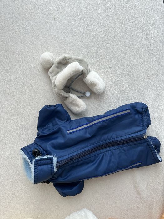 Пролам комбинезон и шапочку для собаки