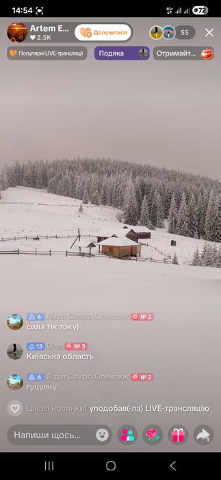 Ділянка оточена лісом