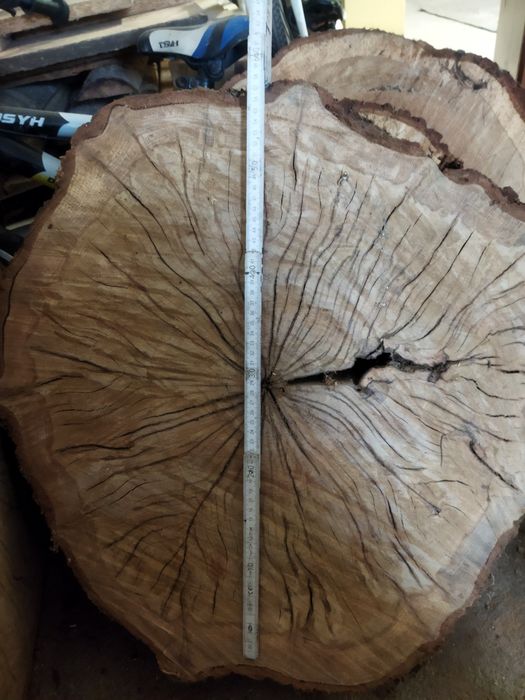 Plaster drewna dębowego(stojak pod choinkę, kwiaty,wazon, inne)
