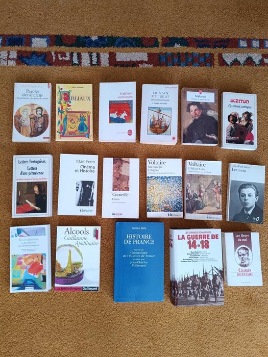 Livros de grandes clássicos da literatura universal (portes grátis)