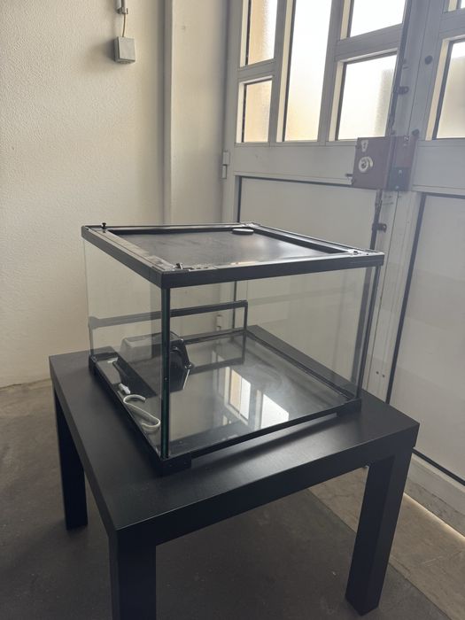 Terrário de vidro com iluminação