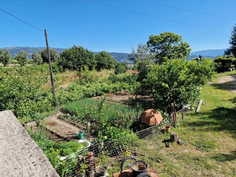 Quintinha com Árvores de fruto e Água