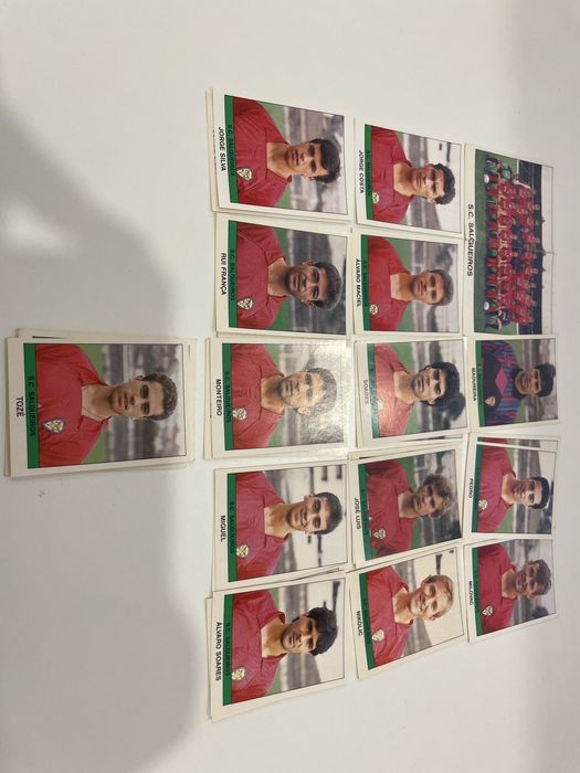 Cromos Salgueiros 1991