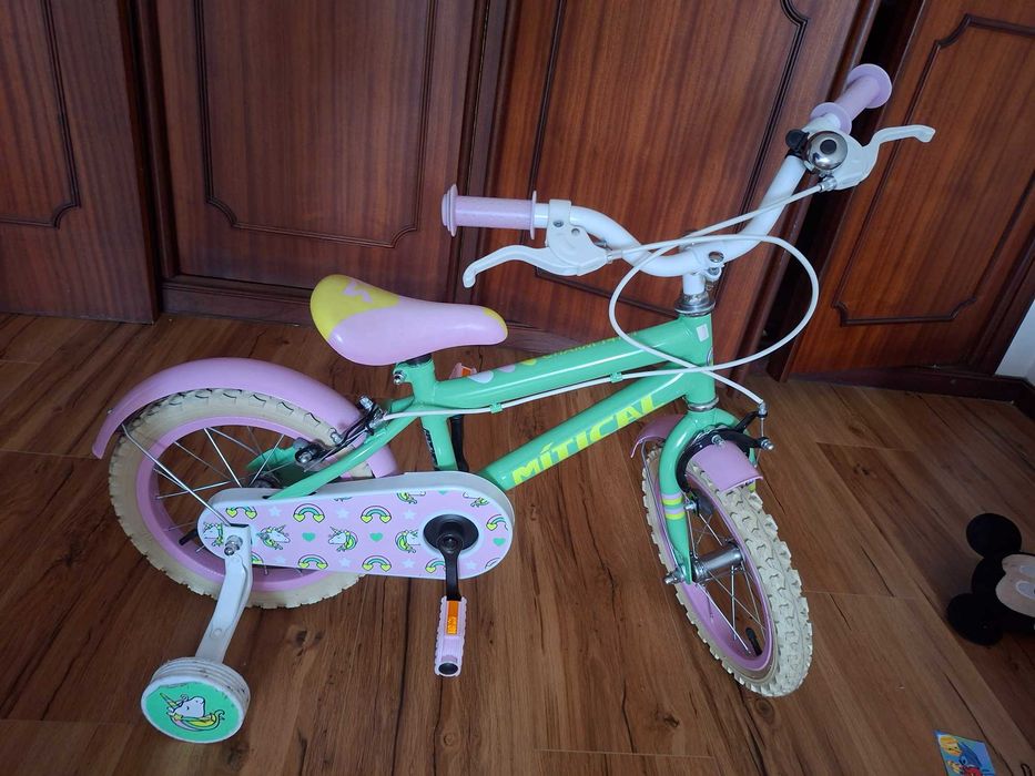 Bicicleta com rodinha e acessórios