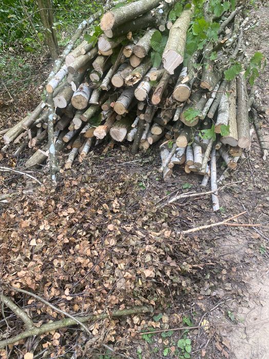 Drewno opałowe kominkowe