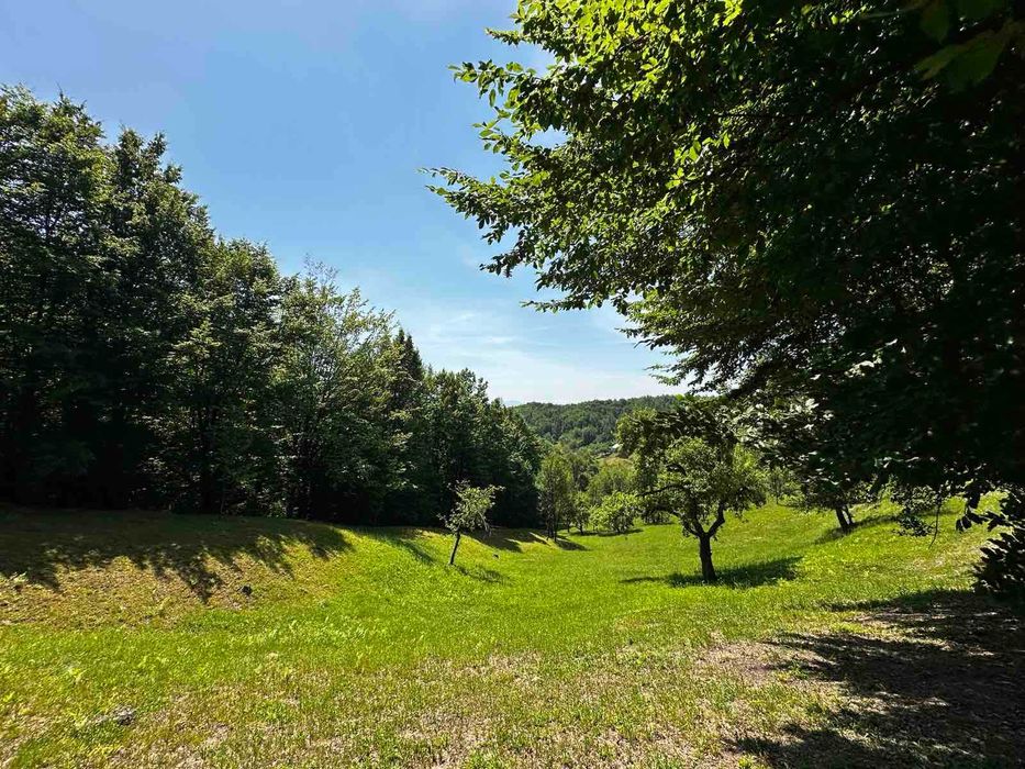 Продається старий будинок з великою земельною ділянкою