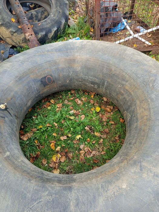 Detka 16.9 r34  kleber