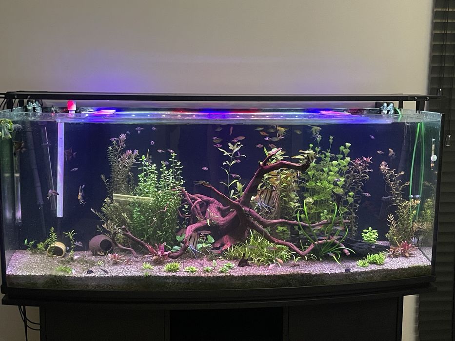 Akwarium panoramiczne 150x60x60 - 450 l z pełnym wyposażeniem i życie