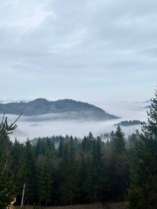 Будинок із Брусу 64 кв. с.Буковець (ів фр) + 14 сот.Краєвид.Заповідник