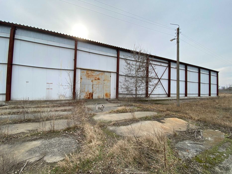 Продаж нежитлових приміщень (ферма) 10589,9м², 9,7592га, Черкаська обл
