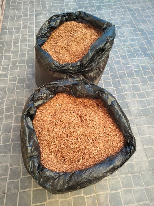 Aparas/serradura de madeira