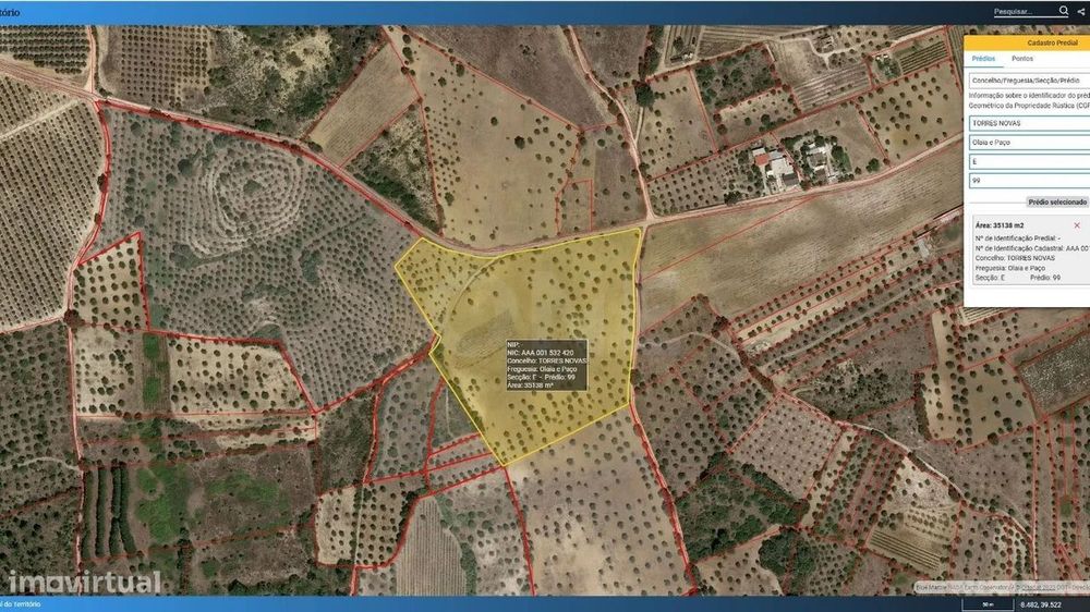 Land | 3-Hectare Olive Grove in Olaia, Torres Novas