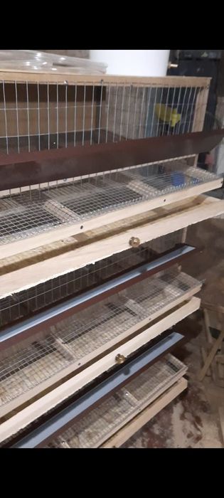 Клетки для перепелов (новый)