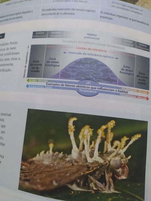 Biologia e geologia bio geo foco conjunto manuais 10° ano- portes grát