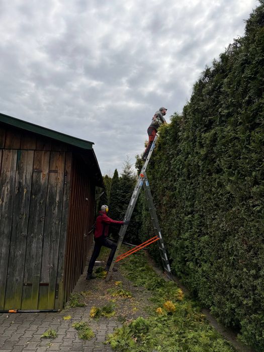 Wycinka i pielęgnacja drzew, mycie kostki brukowej