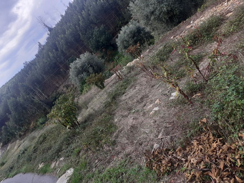 Terreno para construção