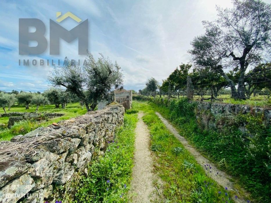 Quinta em zona rural tranquila