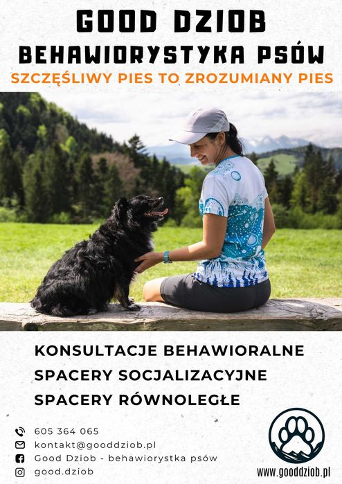 Behawiorysta konsultacje behawioralne psów / Trening z psem / Spacery