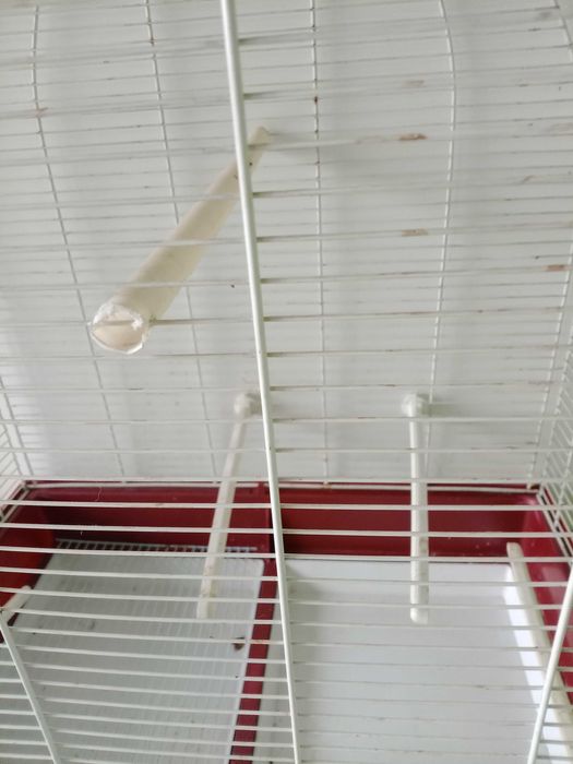 Gaiola para Pássaros