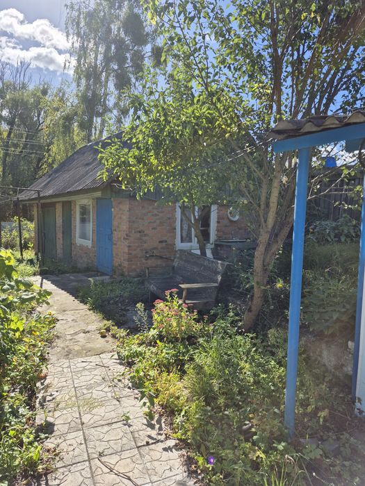 Великий будинок на березі Десни