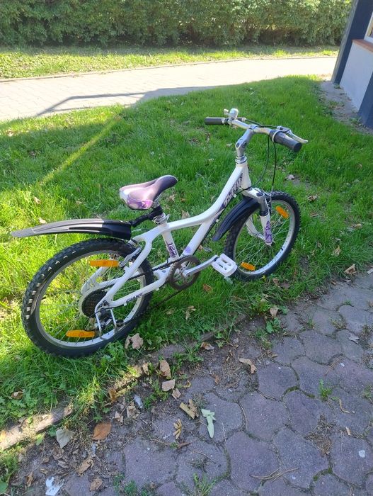 Giant taffy 20 bdb stan