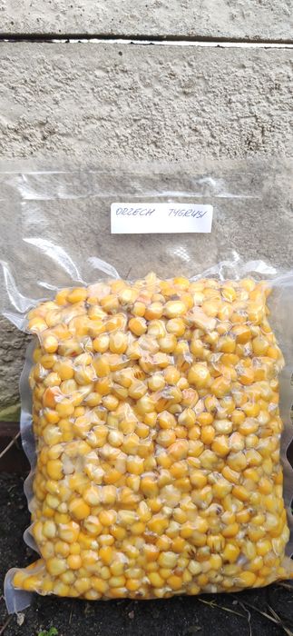 Kukurydza gotowana 1kg smakowa ORZECH TYGRYSI