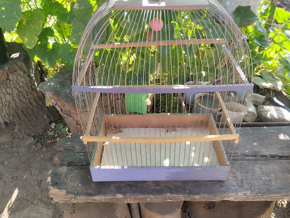 Клітка для папуги